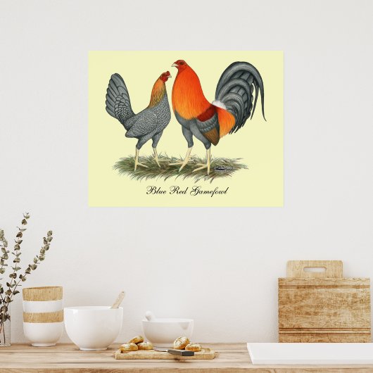 Blauer Roter Gamefowl Poster (Küche)