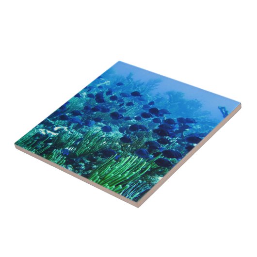 Blauer Schleier Fliese (Seite)