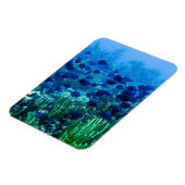 Blauer Schleier Magnet (Linke Seite)