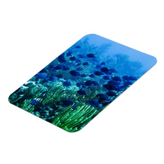 Blauer Schleier Magnet (Linke Seite)