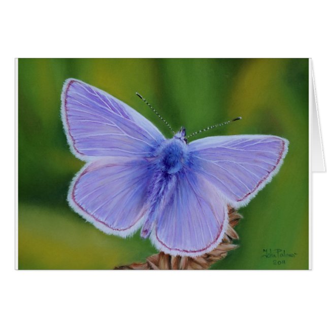 Blauer Schmetterling (Vorderseite (Horizontal))
