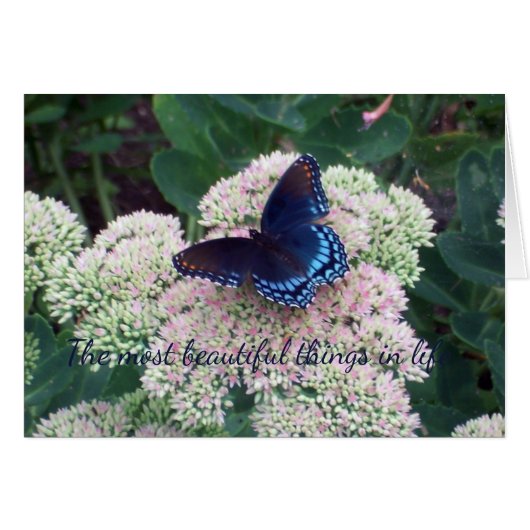 Blauer Schmetterling (Vorderseite (Horizontal))