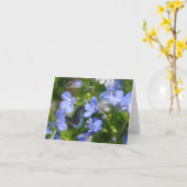 Blauer Schmetterling auf blauer Blume Karte (Gelbe Blume)