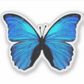 Blauer Schmetterling Aufkleber (Vorderseite)