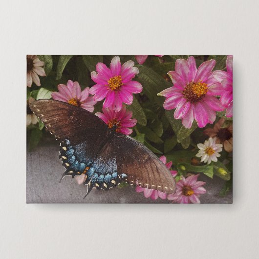blauer Schmetterling Button (Vorderseite)