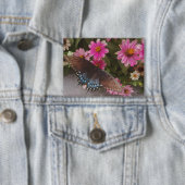 blauer Schmetterling Button (Insitu)