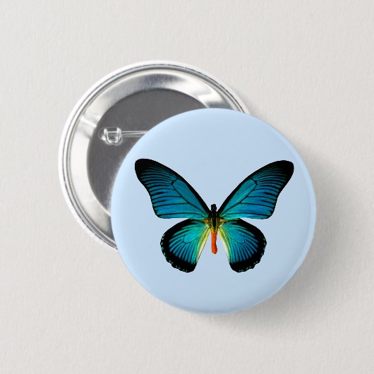 Blauer Schmetterling Button (Vorne & Hinten)