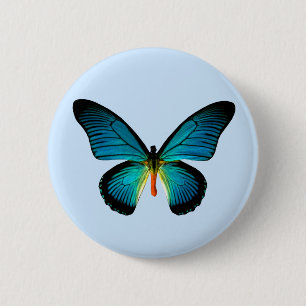 Blauer Schmetterling Button