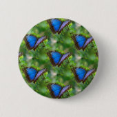 Blauer Schmetterling Button (Vorderseite)