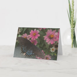 blauer Schmetterling  Dankeskarte