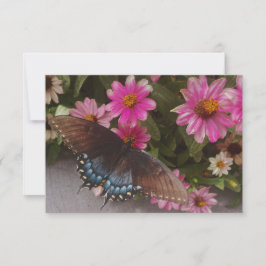 blauer Schmetterling  Dankeskarte