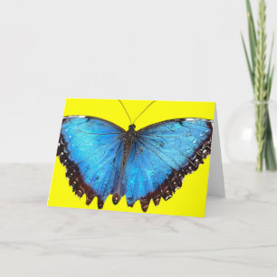 Blauer Schmetterling Dankeskarte