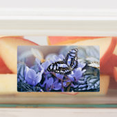 Blauer Schmetterling Etiketten (Befestigt)
