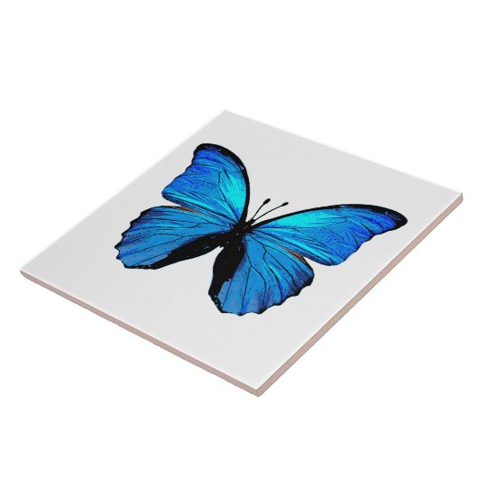 Blauer Schmetterling Fliese (Seite)