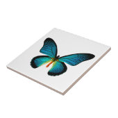Blauer Schmetterling Fliese (Seite)