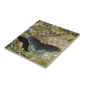 Blauer Schmetterling Fliese (Seite)