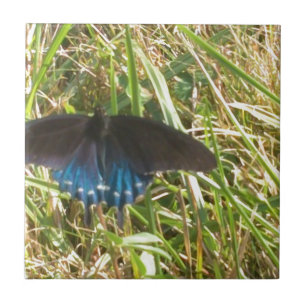Blauer Schmetterling Fliese