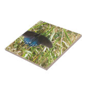 Blauer Schmetterling Fliese (Seite)
