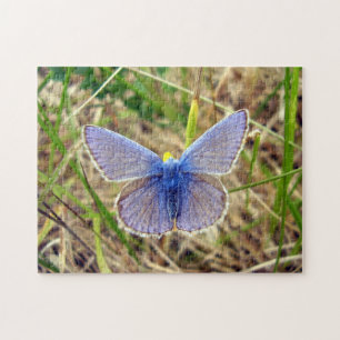 Blauer Schmetterling Foto Puzzle mit Geschenkboxen