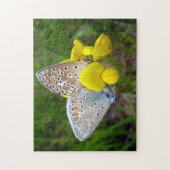 Blauer Schmetterling Foto Puzzle mit Geschenkboxen (Vertikal)