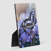 Blauer Schmetterling Fotoplatte (Seite)