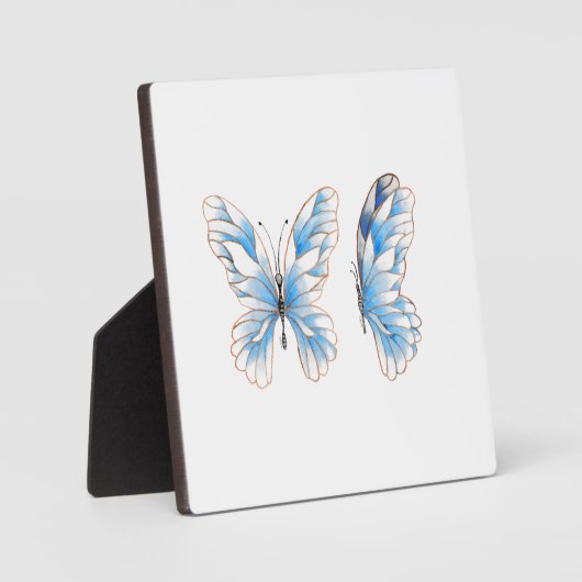 Blauer Schmetterling Fotoplatte (Vorderseite)