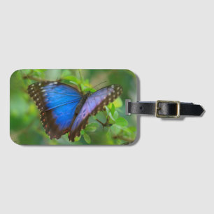 Blauer Schmetterling Gepäckanhänger