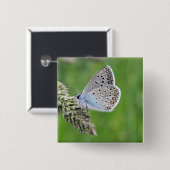 Blauer Schmetterling im Gras Button (Vorne & Hinten)