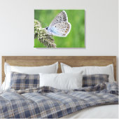 Blauer Schmetterling im Gras Leinwanddruck (Insitu (Schlafzimmer))