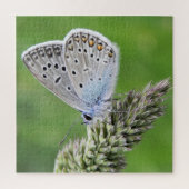 Blauer Schmetterling im Gras Puzzle (Vertikal)