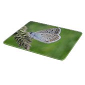Blauer Schmetterling im Gras Schneidebrett (Ecke)