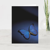 Blauer Schmetterling Karte (Vorderseite)