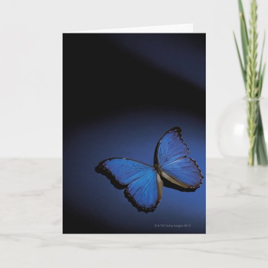Blauer Schmetterling Karte (Vorderseite)