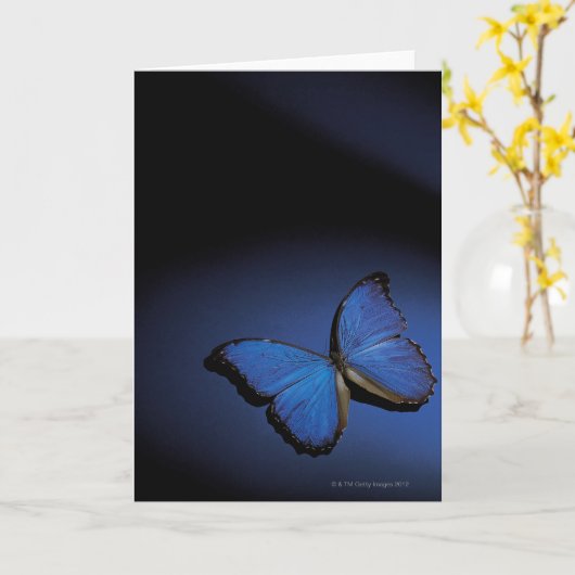 Blauer Schmetterling Karte (Gelbe Blume)