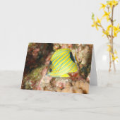 Blauer Schmetterling Karte (Gelbe Blume)