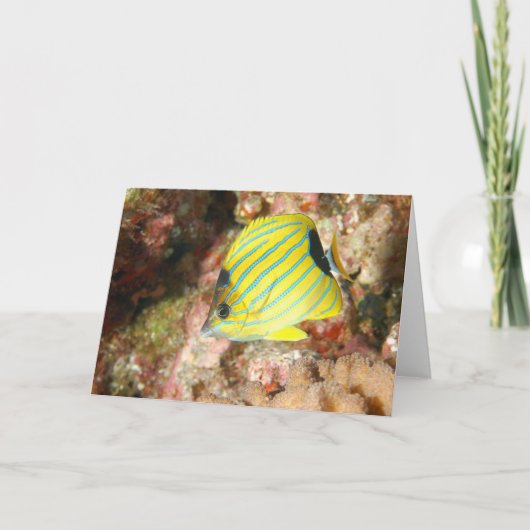 Blauer Schmetterling Karte (Vorderseite)