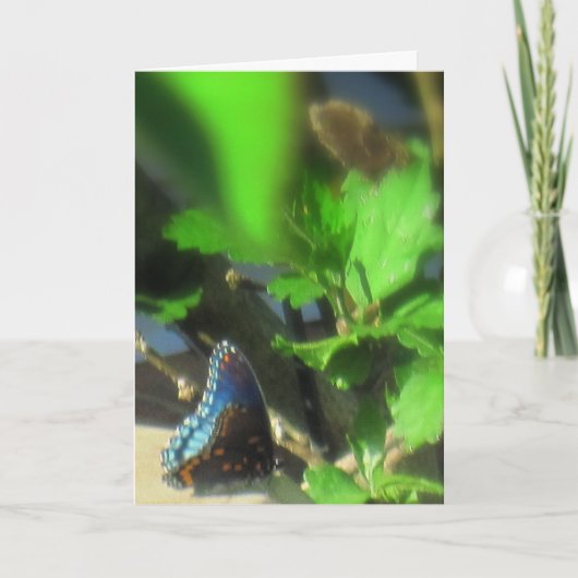 Blauer Schmetterling Karte (Vorderseite)