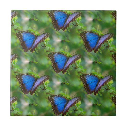 Blauer Schmetterling Keramik Fliese (Vorderseite)