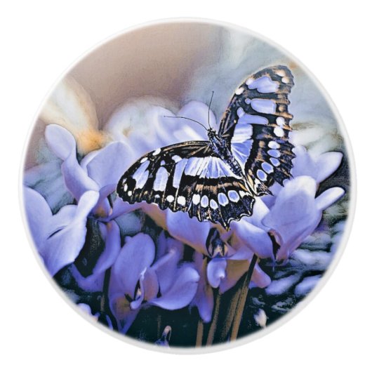 Blauer Schmetterling Keramikknauf (Vorderseite)