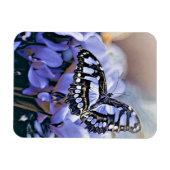 Blauer Schmetterling Magnet (Horizontal)
