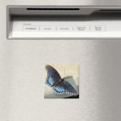 Blauer Schmetterling Magnet (In Situ (Geschirrspüler))