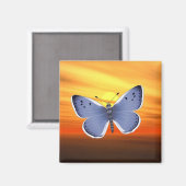 Blauer Schmetterling Magnet (Vorderseite/Rückseite)
