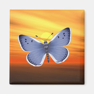 Blauer Schmetterling Magnet