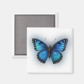 Blauer Schmetterling Magnet (Vorderseite/Rückseite)
