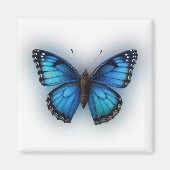 Blauer Schmetterling Magnet (Vorne)
