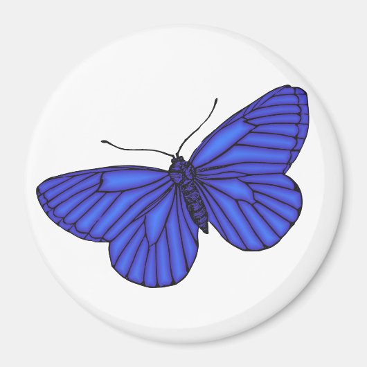 Blauer Schmetterling Magnet (Vorne)