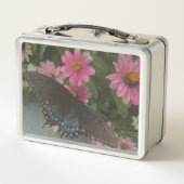 blauer Schmetterling Metall Brotdose (Rückseite)
