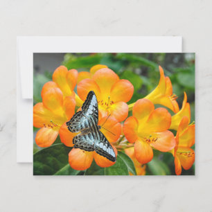 Blauer Schmetterling mit tropischem Rhododendron Postkarte