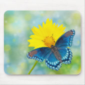 Blauer Schmetterling Mousepad (Vorne)