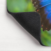 Blauer Schmetterling Mousepad (Ecke)